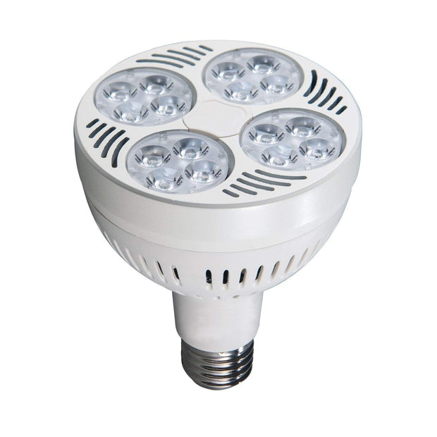 PAR30 LED Jewelry Light Bulbs for recessed cans or track lighting systems. Easily upgrade your halogens to the Diamond LED Lights. 